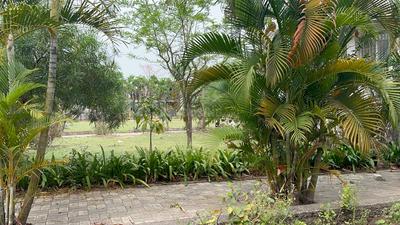 Image of 2200 Sq.ft Residential Plot / Land for sale in Khamtarai, Bilaspur for Rs. 3000000
