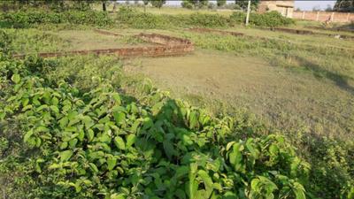 Uniworld City Plot View 2