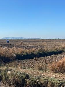 Image of 1089 Sq.ft Residential Plot / Land for sale in Mahamum Plots In Uran, Uran, Navi Mumbai for Rs. 569000