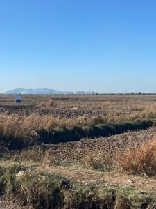 Image of 1089 Sq.ft Residential Plot / Land for sale in Mahamumbai Plots In Vindhane, Vindhane, Navi Mumbai for Rs. 650000