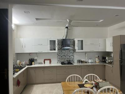 Kitchen Image of 2250 Sq.ft 3 BHK Builder Floor for sale in Sector 117 Mohali for Rs. 10990000
