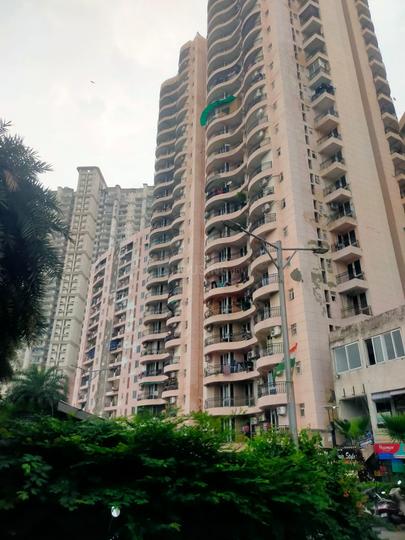 Sikka Karmic Greens Main Image 1