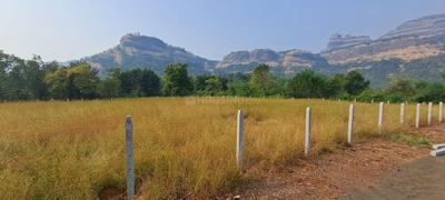 Agricultural Land
