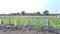Raja Bhoj Airport Area, Airport Road More Images 2