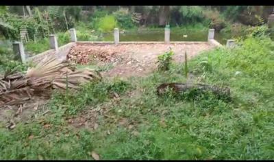 Image of 1485 Sq.ft Residential Plot / Land for sale in Kabardanga, Kolkata for Rs. 1500000