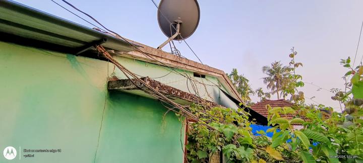 Vellamchira  Main Image 1