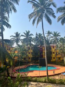 Balcony Image of 600 Sq.ft 1 BHK Apartment / Flat for rent in Calangute Goa for Rs. 23000