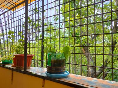 Balcony Image of 550 Sq.ft 1 BHK Apartment / Flat for sale in Moula Ali Secunderabad for Rs. 2500000