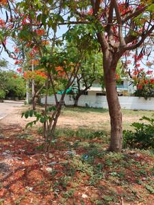 Image of 760 Sq.ft Residential Plot / Land for sale in Sainikpuri, Secunderabad for Rs. 95000000