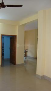 Hall Image of 1250 Sq.ft 2 BHK Independent House for rent in Nayapalli Bhubaneswar for Rs. 22000
