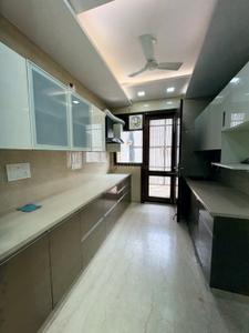 Kitchen Image of 1600 Sq.ft 3 BHK Builder Floor for rent in Paschim Vihar New Delhi for Rs. 55000