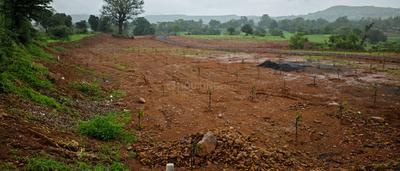 Image of 10764 Sq.ft Residential Plot / Land for sale in Trimbak, Nashik for Rs. 3500000