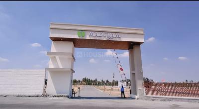 Annur Plot View 3