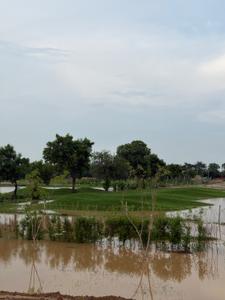 Image of 147 Sq.ft Residential Plot / Land for sale in Sector 98, Faridabad for Rs. 32200000
