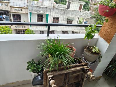 Balcony Image of 1300 Sq.ft 3 BHK Apartment / Flat for sale in Govindpura Kardhani Scheme Jaipur for Rs. 6000000