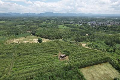 Image of 20400 Sq.ft Residential Plot / Land for sale in Biharigarh, Saharanpur for Rs. 50000000