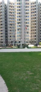 Image of 750 Sq.ft 3 BHK Apartment / Flat for rent in Habitat Prime, Sector 99A, Gurgaon for Rs. 14000