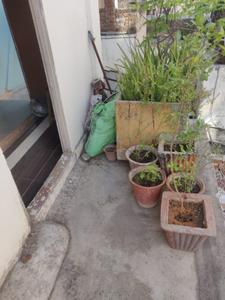 Balcony Image of 1800 Sq.ft 3 BHK Apartment / Flat for sale in MIG Flats, Jawahar Nagar Jaipur for Rs. 5500000