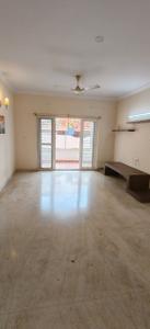 Hall Image of 1150 Sq.ft 2 BHK Apartment / Flat for rent in Prestige Palms, Whitefield Bengaluru for Rs. 52000