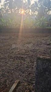 Image of 93654 Sq.ft Residential Plot / Land for sale in Chottanikkara, Kochi for Rs. 6450000