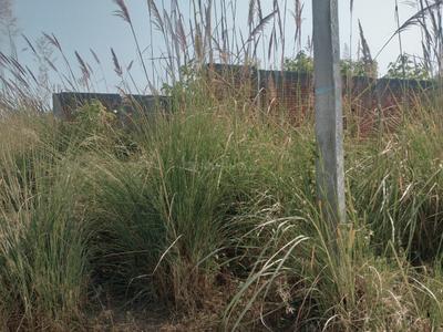 Image of 3000 Sq.ft Residential Plot / Land for sale in Suman Nagar, Haridwar for Rs. 1900000