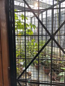 Balcony Image of Urban Oasis - Girls PG in Khadra, Lucknow