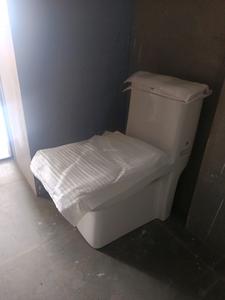 Common Bathroom Image of 1196 Sq.ft 2 BHK Apartment / Flat for sale in Lifestile Chowhan Residency Phase II, Handewadi Pune for Rs. 7000000