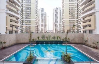 Balcony Image of 1280 Sq.ft 3 BHK Apartment / Flat for rent in Prateek Stylome, Sector 45 Noida for Rs. 55000