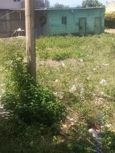 Image of 4243 Sq.ft Residential Plot / Land for sale in Suleeswaranpatti, Pollachi for Rs. 8766000