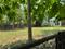 Konthuruthy Plot View 2