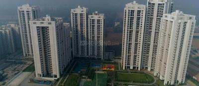 Building Image of 1254 Sq.ft 3 BHK Apartment / Flat for rent in Mapsko Mount Ville, Sector 79 Gurgaon for Rs. 35499