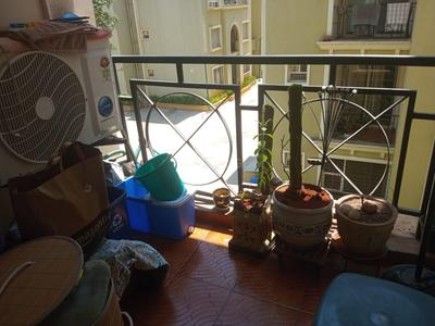 Balcony Image of 900 Sq.ft 2 BHK Apartment / Flat for sale in GM E City Town, Bommasandra Bengaluru for Rs. 7600000