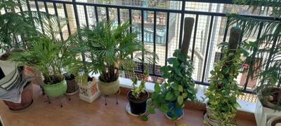 Balcony Image of 1450 Sq.ft 2 BHK Apartment / Flat for rent in Kadubeesanahalli Bengaluru for Rs. 60000