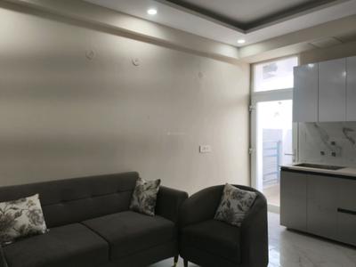 Living Room Image of 700 Sq.ft 1 BHK Apartment / Flat for sale in Trinity High Street North Avenue, Noida Extension Greater Noida for Rs. 2900000