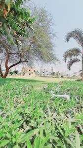 Image of 950 Sq.ft 2 BHK Independent House for sale in Raheja Green Phase 2, Pirda-2, Raipur for Rs. 4372500