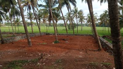 Image of 4138 Sq.ft Residential Plot / Land for sale in Paravattani, Thrissur for Rs. 6600000