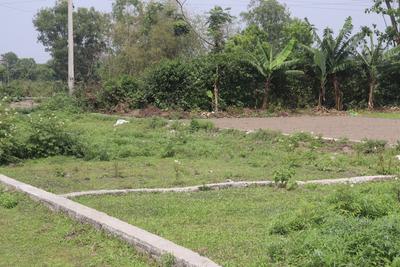 Image of 720 Sq.ft Residential Plot / Land for sale in Ranga Pani, Siliguri for Rs. 699000