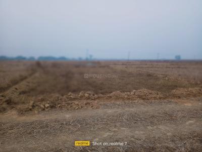 Singh More Plot View 2