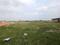Swapnabhumi Main Image 1