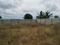 Raysandara Plot View 2