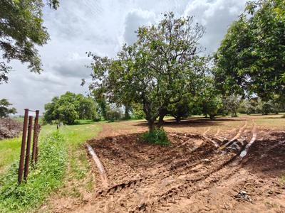 Image of 39300 Sq.ft Residential Plot / Land for sale in Kothapalle, Hyderabad for Rs. 60900000