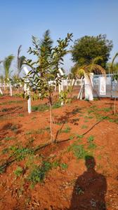 Image of 600 Sq.ft Residential Plot / Land for sale in Bibinagar, Yadadri Bhuvanagiri for Rs. 3300000