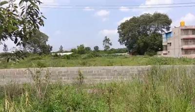 Image of 66529 Sq.ft Residential Plot / Land for sale in Devanahalli, Bengaluru for Rs. 110000000