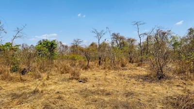 Image of 1089 Sq.ft Residential Plot / Land for sale in Jambhulpada, Raigad for Rs. 725000