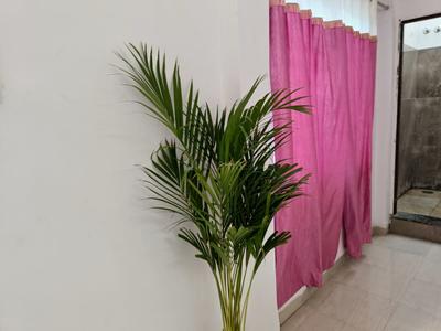 Image of 380 Sq.ft 1 RK Studio for rent in Sukhliya, Indore for Rs. 10500