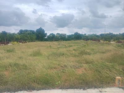 MSR PROPERTIES Plot View 2
