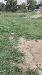 Image of 435 Sq.ft Residential Plot / Land for sale in Namkum, Ranchi for Rs. 1100000