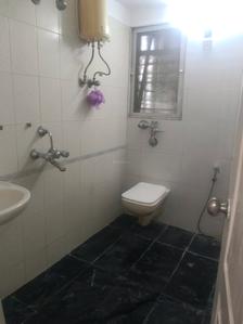 Common Bathroom Image of 1330 Sq.ft 3 BHK Apartment / Flat for rent in Evershine Millennium Paradise, Kandivali East Mumbai for Rs. 71000