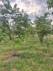 Image of 111 Sq.ft Residential Plot / Land for sale in Kothavalasa, Visakhapatnam for Rs. 666000