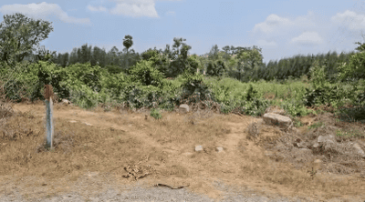 Image of 100 Sq.ft Residential Plot / Land for sale in Duvvada, Visakhapatnam for Rs. 826500